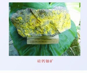 沒有離心機(jī)，第一顆原子彈的鈾從哪里來？